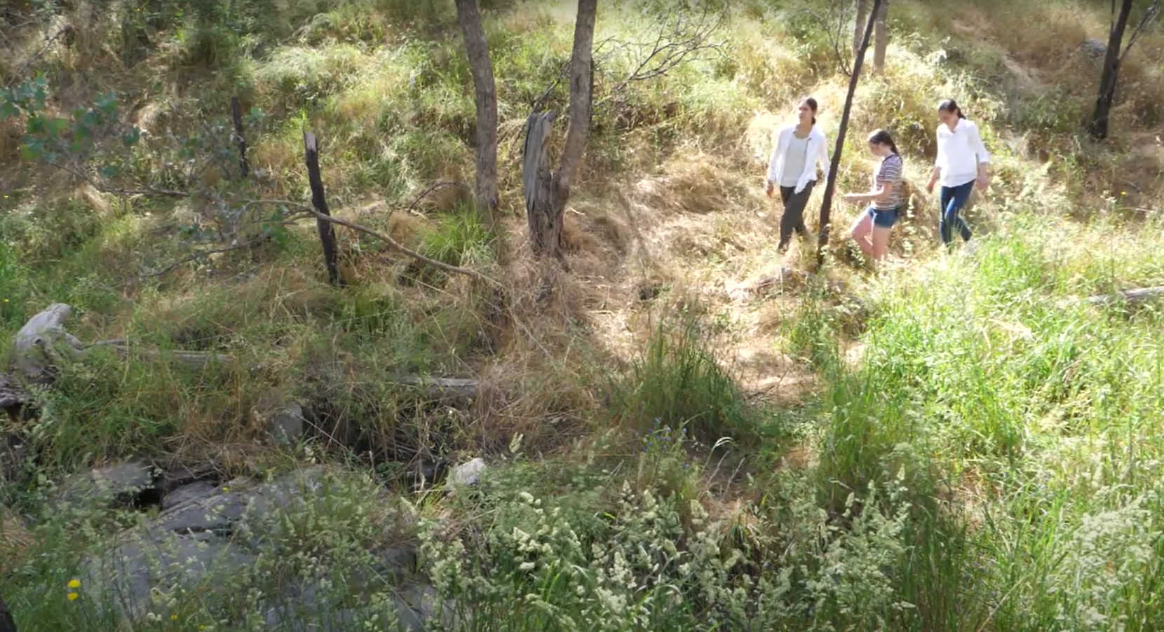 Bush Park Explorers – Parklands Albury Wodonga