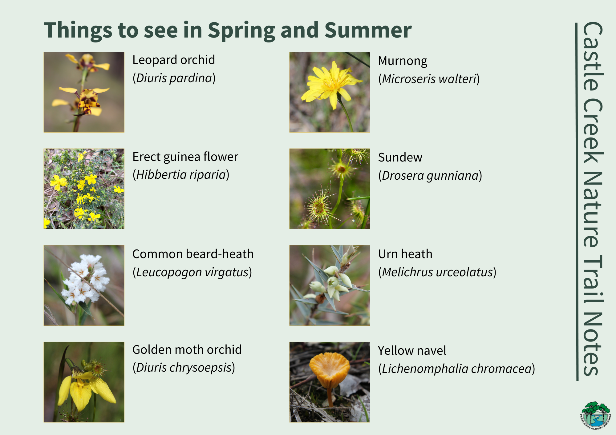 New Nature Trail Notes for the Wildflower Season – Parklands Albury Wodonga